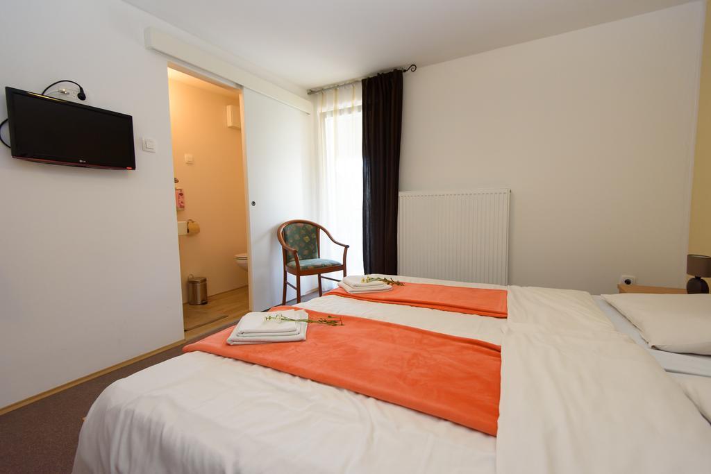 Penzion Vila Bistrica ボヒニュスカ・ビストリツァ 部屋 写真